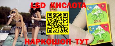 эйфоретик Баксан