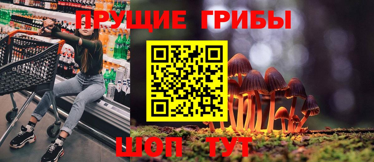 Псилоцибиновые грибы Psilocybe  Вход с VPN  Великий Новгород 