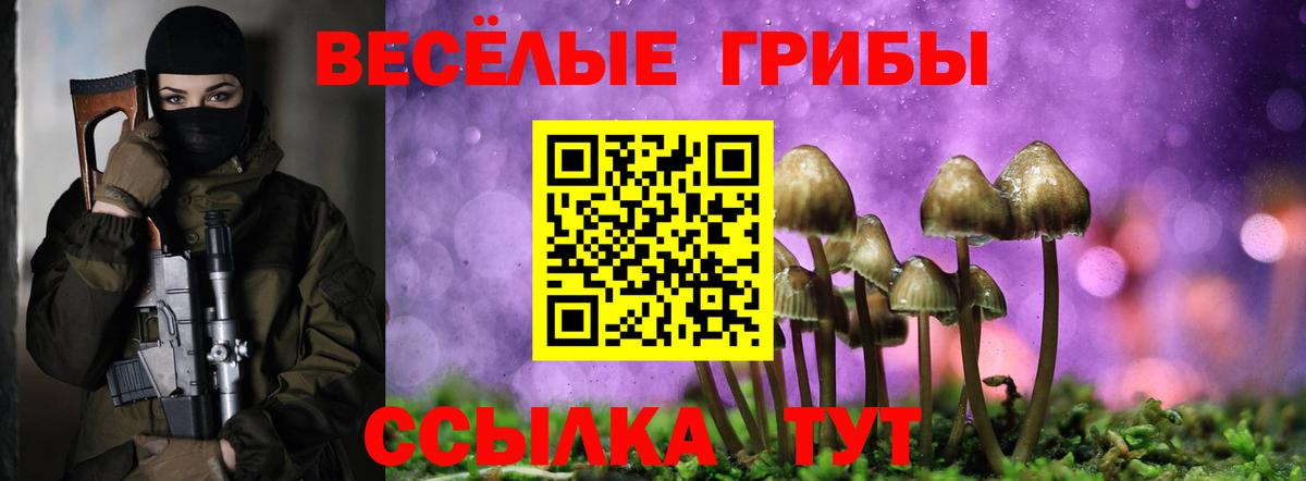 Псилоцибиновые грибы ЛСД Великий Новгород